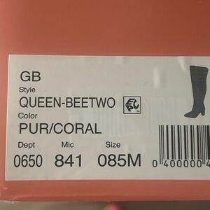 Swiftie Concert Boots